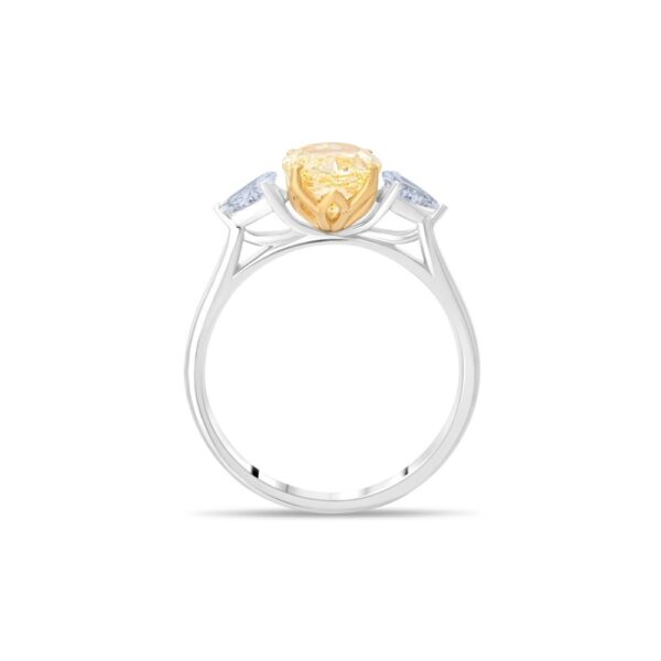 étoile leam ring - Image 2