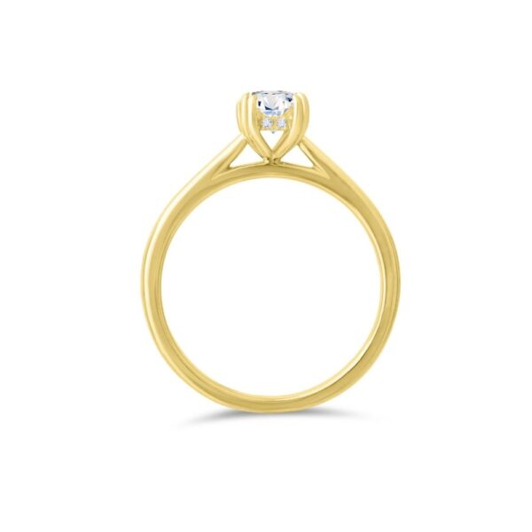elysian ring - Image 2