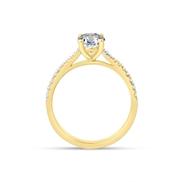 flowstate ring - Image 2