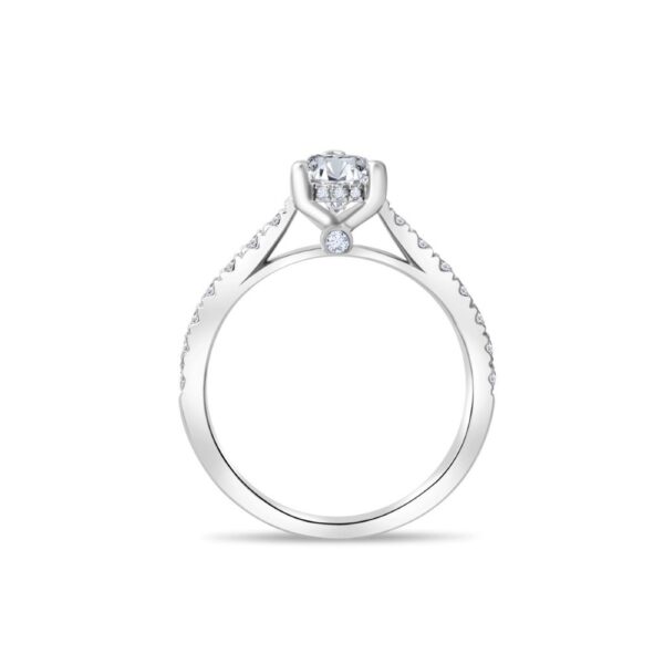 lucent ring - Image 2