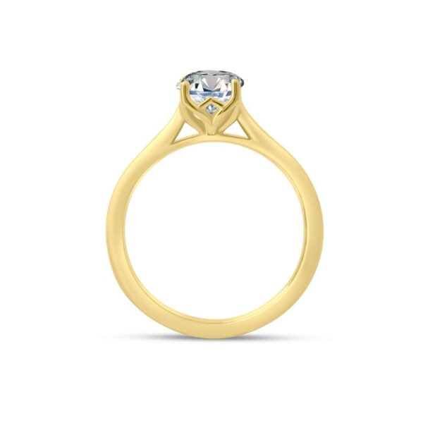 caeliora ring - Image 2